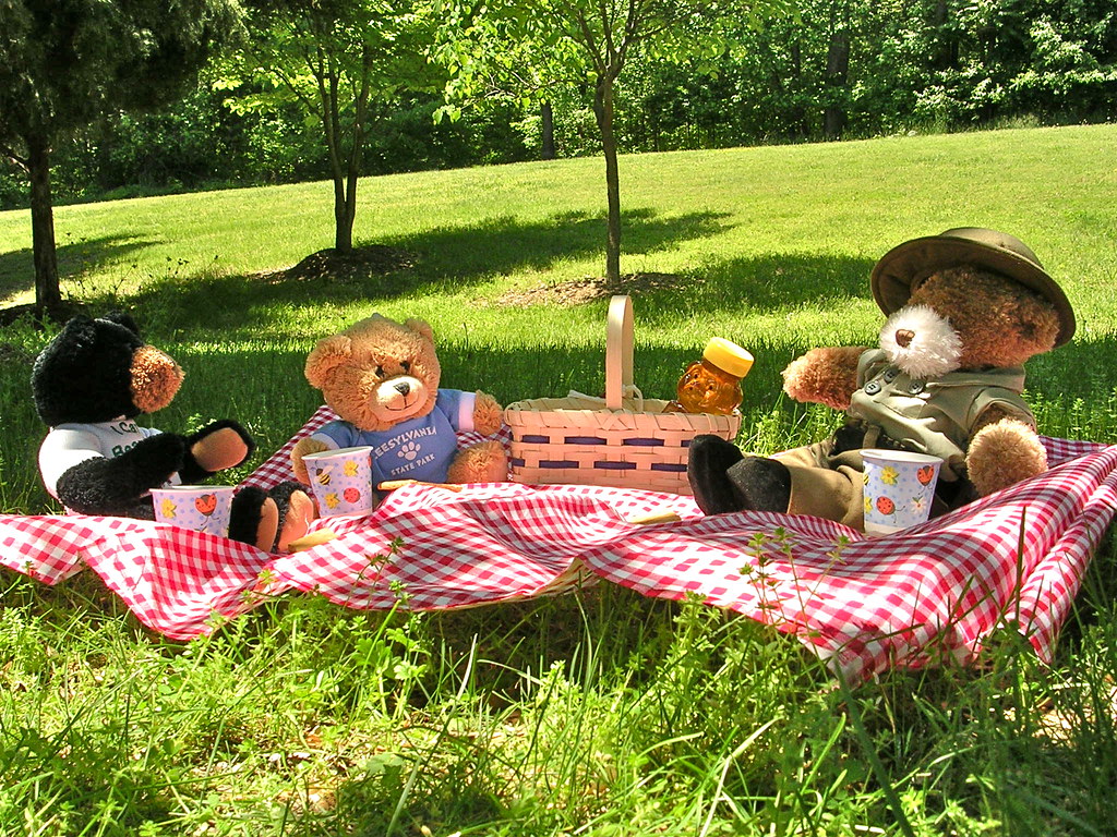 'Teddy Bears Picnic'