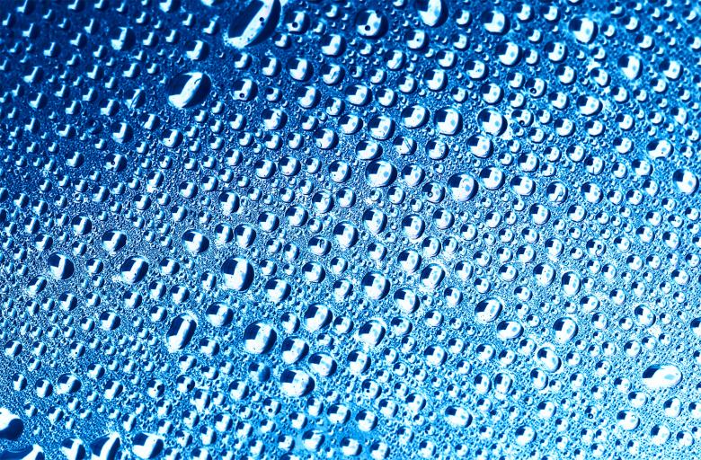 Year 4 Sailing Group 1