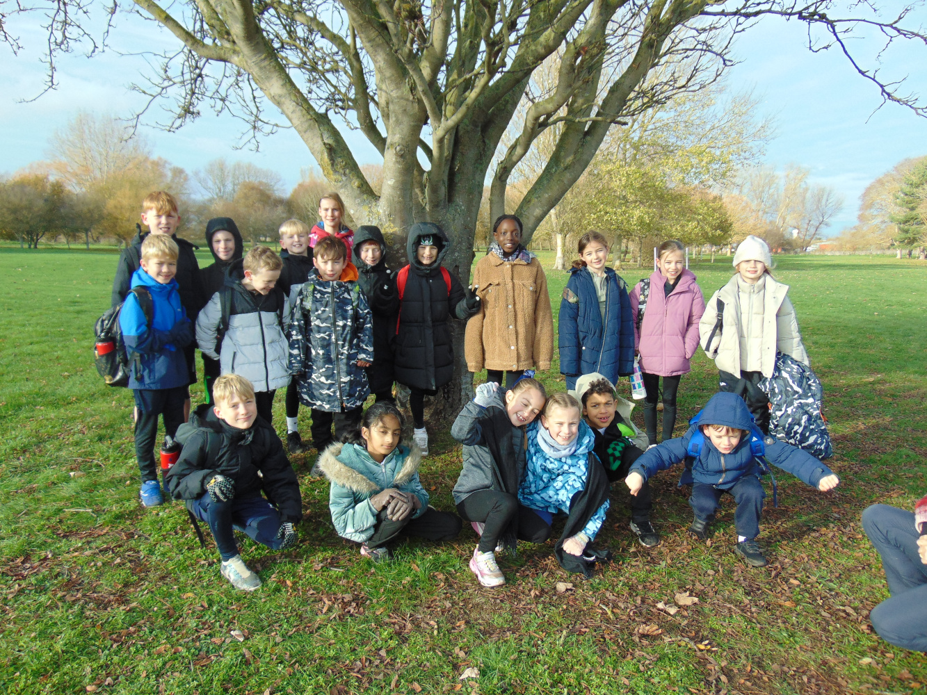 KS2 Shine at Cross-Country